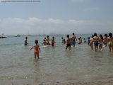 My Gallery (12/205)